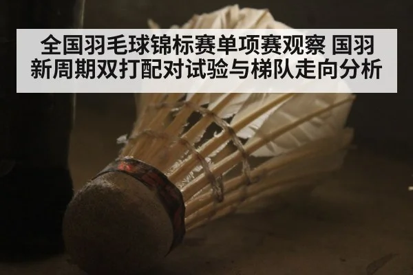 全国羽毛球锦标赛单项赛观察 国羽新周期双打配对试验与梯队走向分析